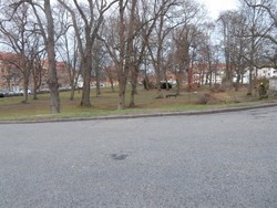 Selbstverteidigung Eschwege WingTsun Kampfsport (2)